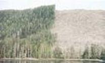 image10
