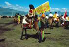 horse