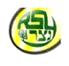 ys netzer
